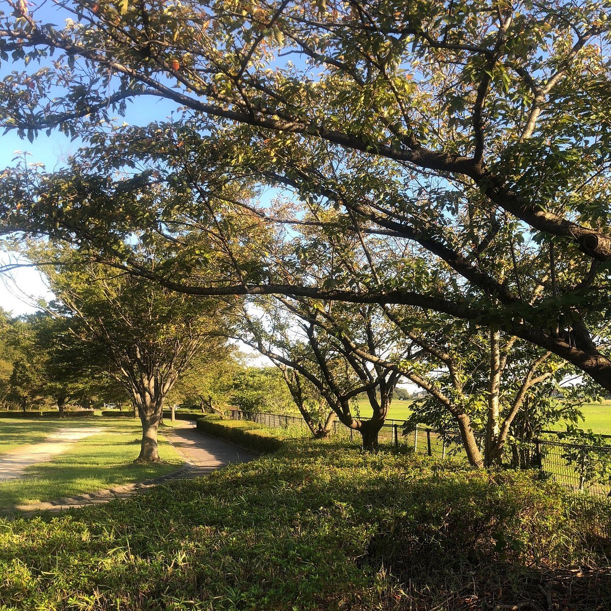 🌳 우치마키 공원 (우치마키코엔) 이미지 4